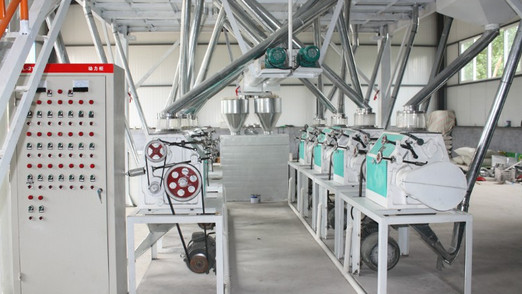 corn kernel production line.jpg