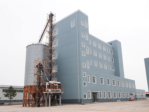 500T/Day Corn Flour,Germ Extraction and Oil Expression Plant in Ethiopia