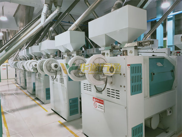 Maize Grinding Machine