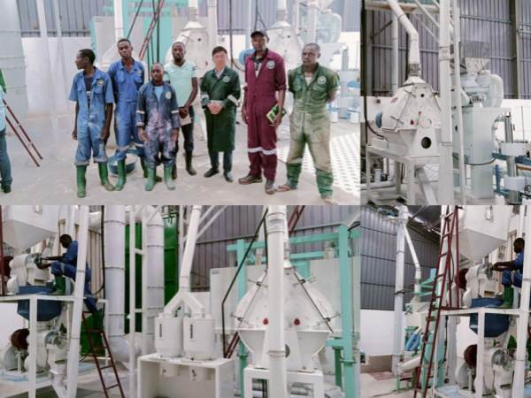 industrial maize grinding machines