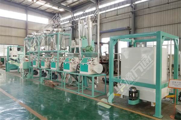 turn-key compact maize milling machine
