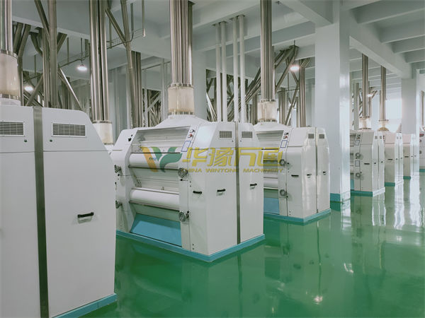 large scale maize meal milling plant
