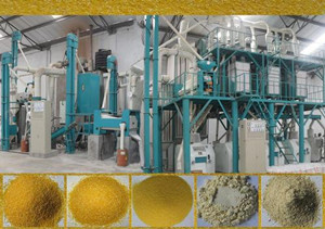 corn processing equipment.jpg