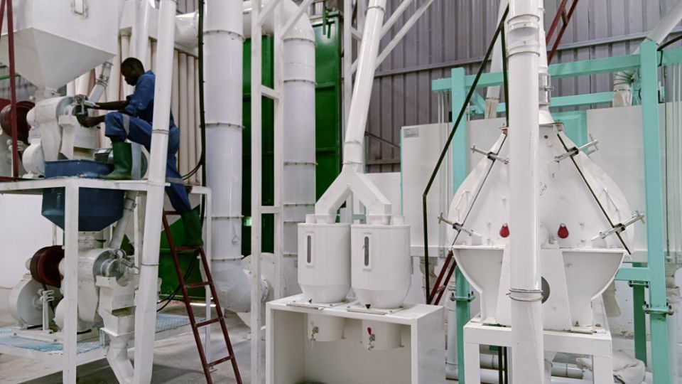 Picture of workers operating maize processing equipment