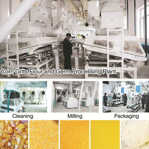 Corn flour production for food industrie