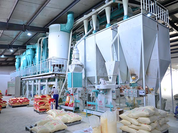 complete maize flour processing plant 