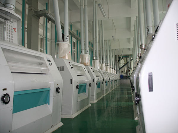 industrial maize grinding machines