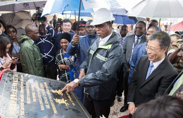 start maize milling business