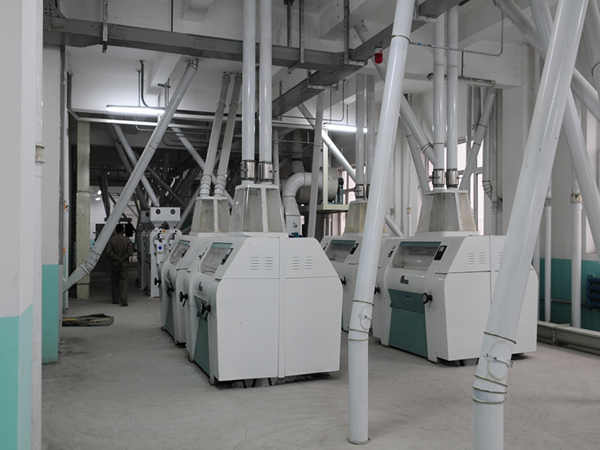 Win Tone's Maize Grinding Machines Enhance Flour Quality