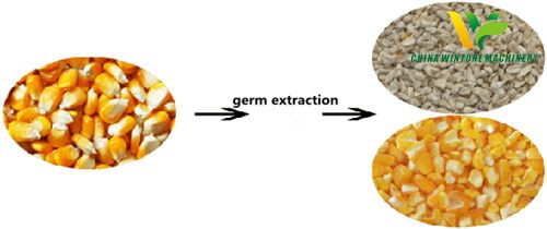 Gravity Germ Extraction Machine finished product