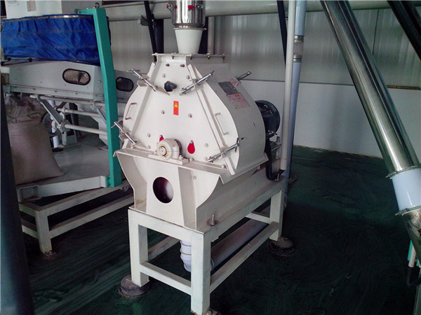 Corn Meal Grinder Maize Meal Grinding Machine