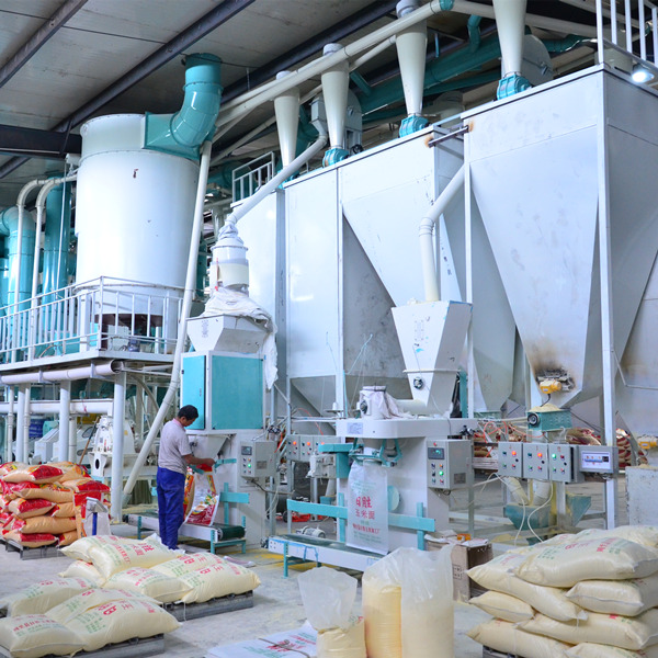 50T Corn Grinding Mill Plant  Maize Milling Plant