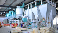 50T Corn Grinding Mill Plant  Maize Milling Plant