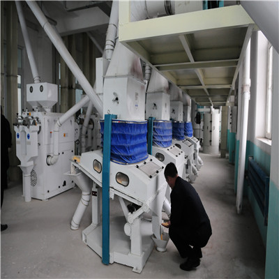 Corn Germ Extraction Line (Dry Method)