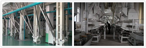 Corn Grits and Flour Production Line with Dry Method