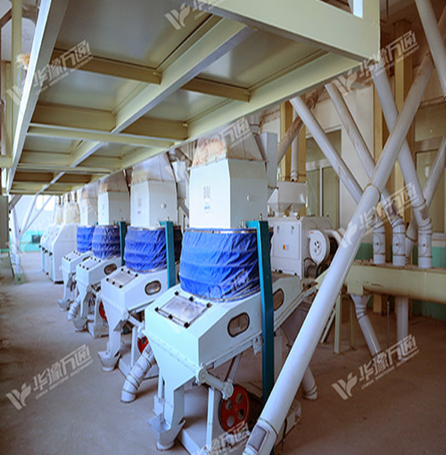  Corn Germ Extraction Line (Dry Method)