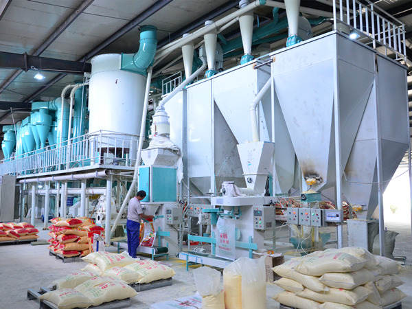 Corn Grinding Mill Plant  Maize Milling Plant
