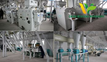 Engineering live of corn grinding plant: