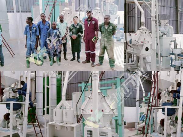 30ton maize milling plant