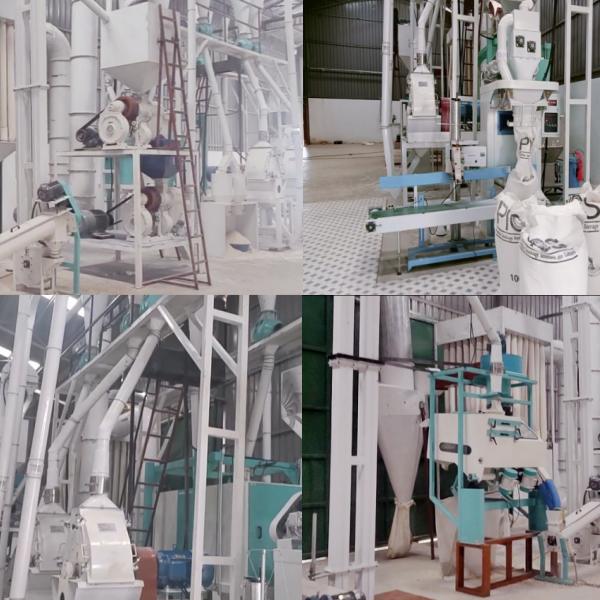 30T Maize Processing Plant Corn Processing Line