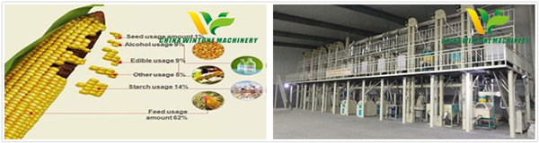 Corn Processing Plant