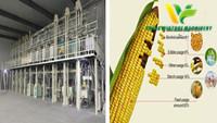 Corn Processing Plant
