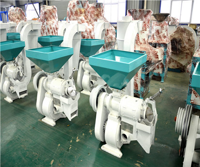 Multifunctional Corn Peeling and Polishing Machine