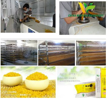 Corn Artificial Rice Production Line